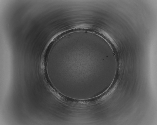 X0000115410923200911101608