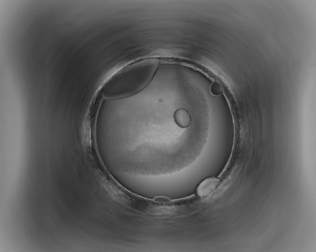 X0000115410925200911101608