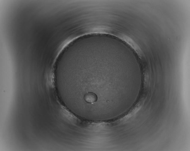 X0000115410926200911101608