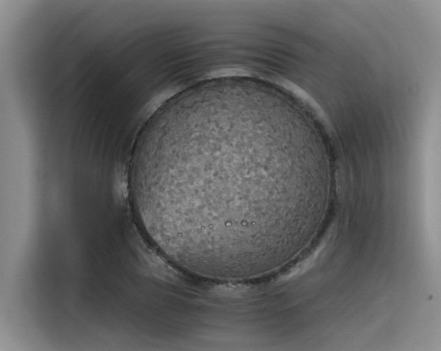X0000115410929200911101608