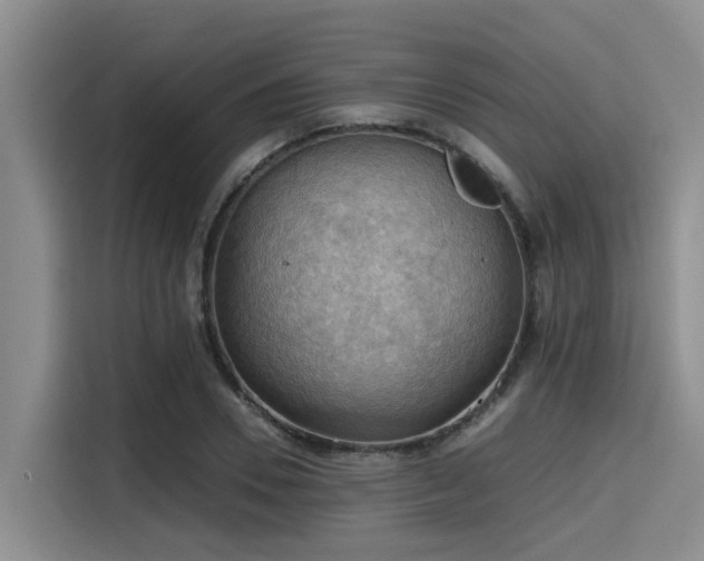 X0000115410930200911101608