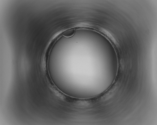 X0000115410931200911101608