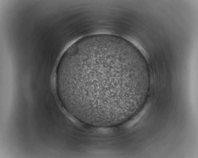 X0000115410933200911101608