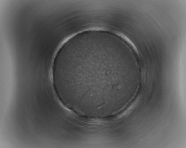 X0000115410935200911101608