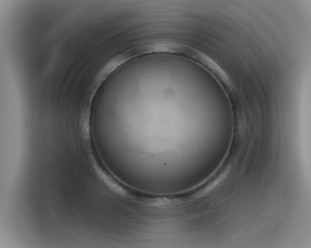 X0000115410938200911101608