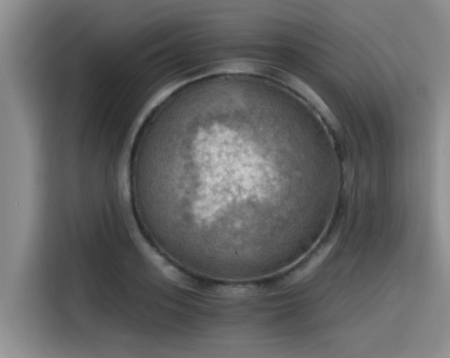 X0000115410939200911101608