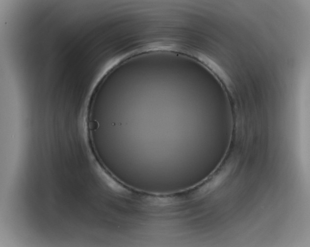 X0000115410941200911101608