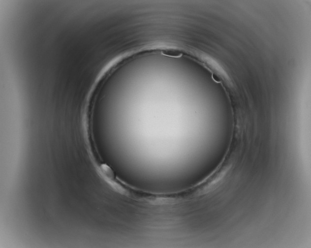 X0000115410942200911101608