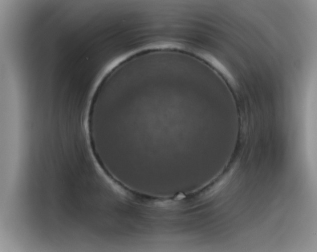 X0000115410943200911101608