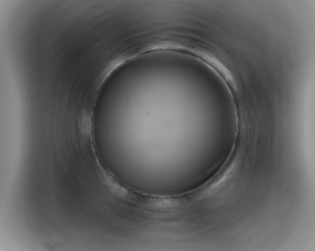 X0000115410945200911101609