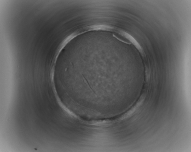 X0000115410946200911101609