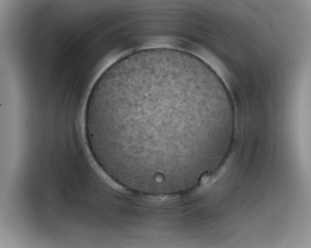 X0000115410949200911101609