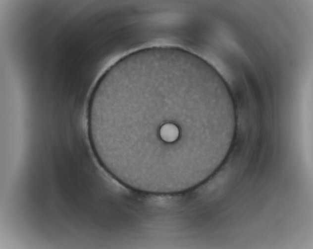 X0000115410950200911101609