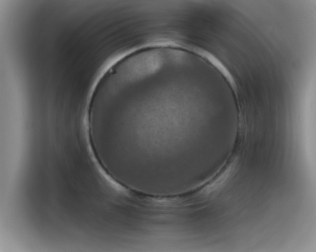 X0000115410951200911101609