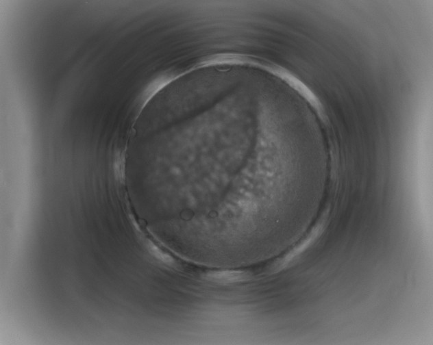 X0000115410953200911101609