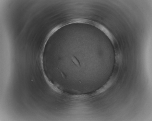 X0000115410954200911101609