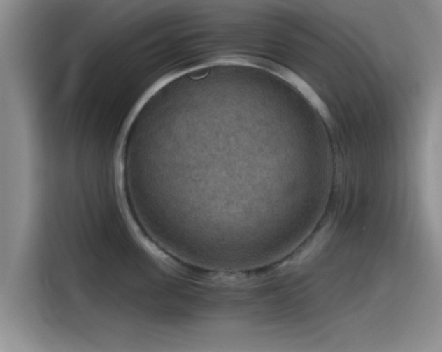 X0000115410955200911101609