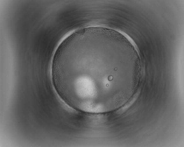 X0000115410957200911101609