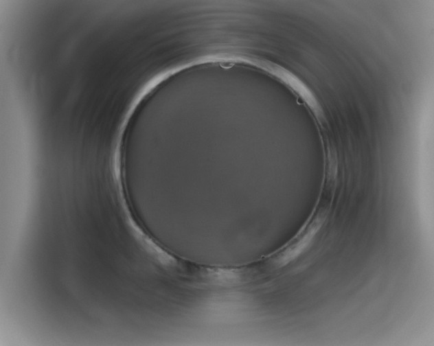 X0000115410958200911101609