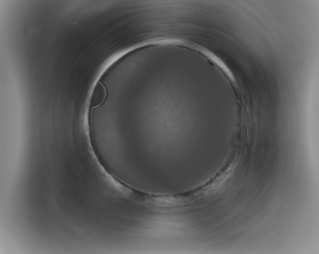 X0000115410959200911101609