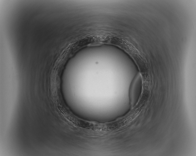 X0000115410961200911101608