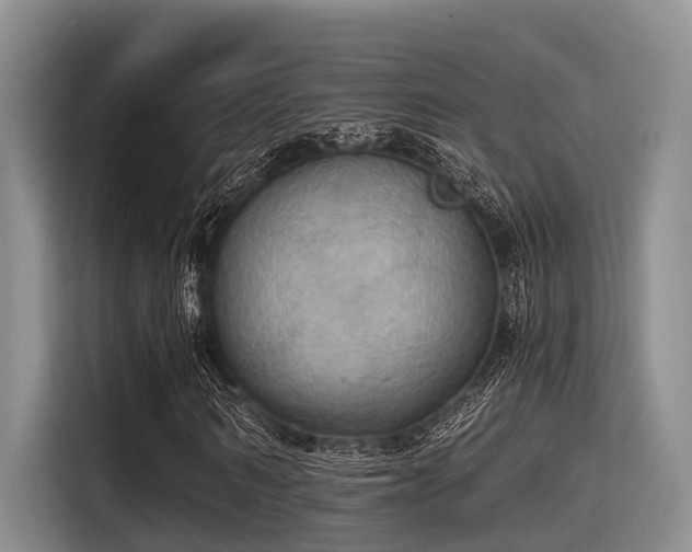 X0000115410962200911101608