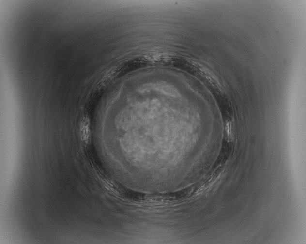 X0000115410963200911101608
