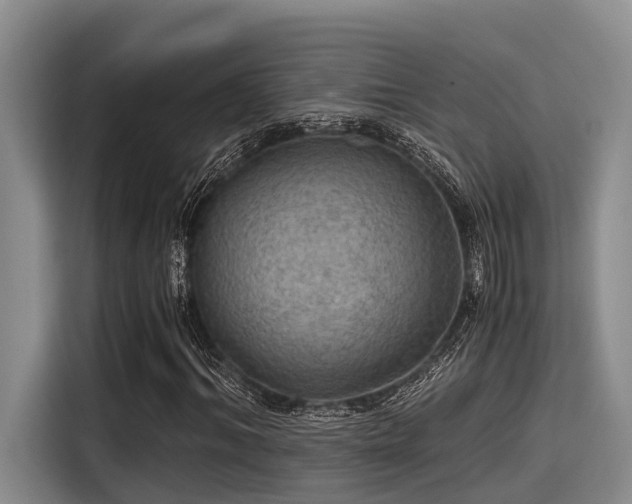 X0000115410964200911101608