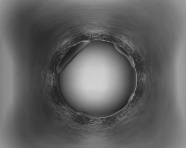 X0000115410965200911101608