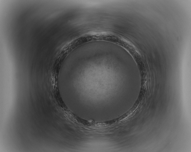 X0000115410966200911101608