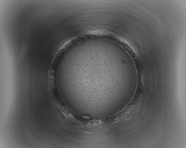 X0000115410968200911101608