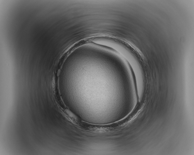 X0000115410969200911101608