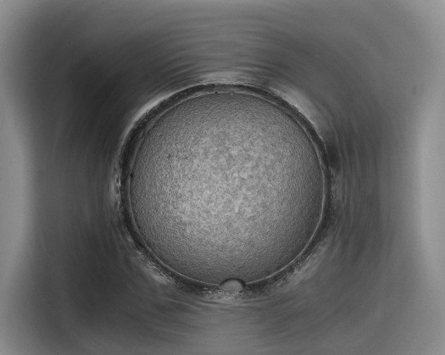 X0000115410971200911101608