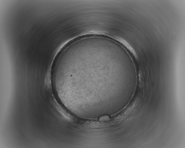 X0000115410972200911101608