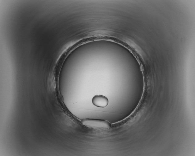 X0000115410973200911101608