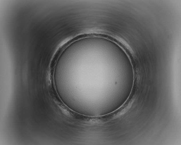 X0000115410974200911101608