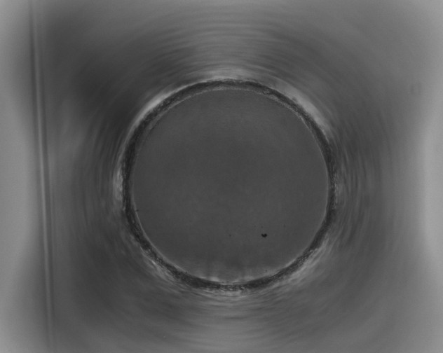 X0000115410975200911101608