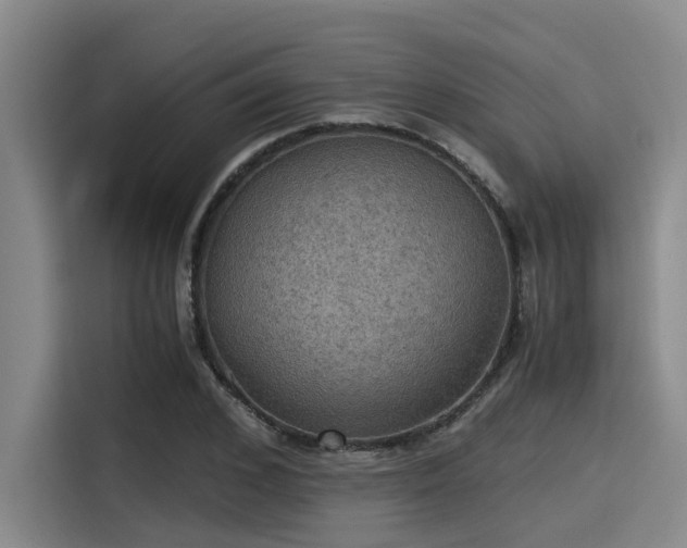 X0000115410976200911101608