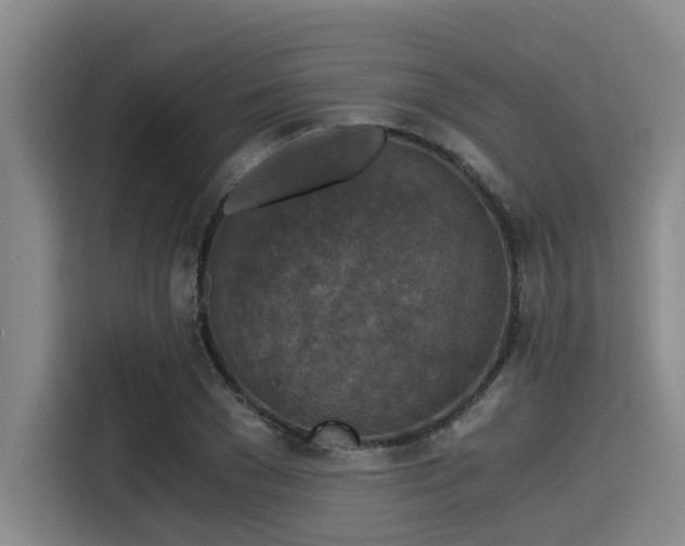 X0000115410977200911101608