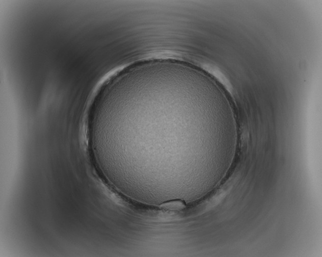 X0000115410979200911101608