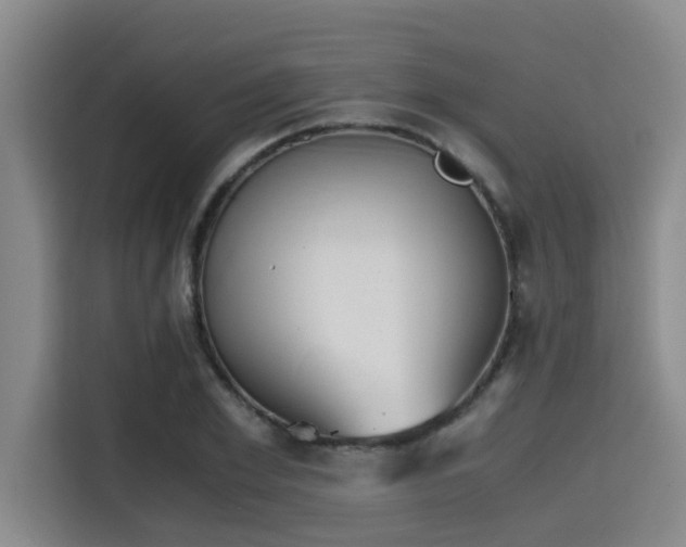 X0000115410981200911101608