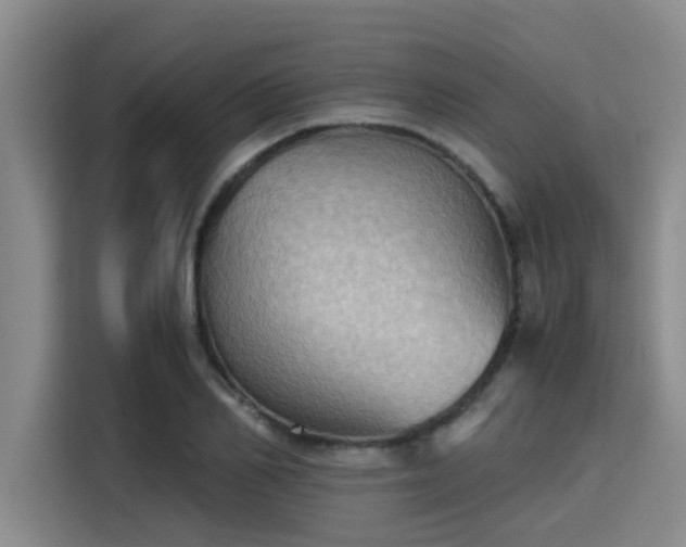 X0000115410982200911101608