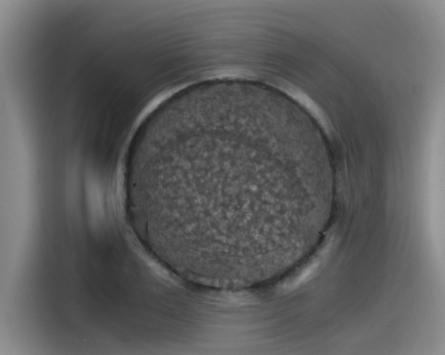 X0000115410983200911101608