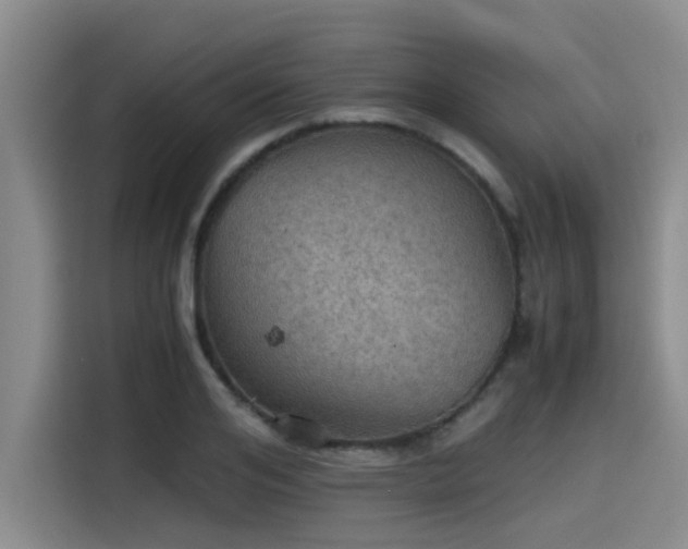 X0000115410984200911101608