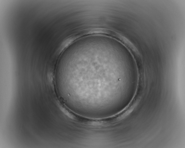 X0000115410985200911101608