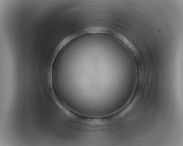 X0000115410986200911101608