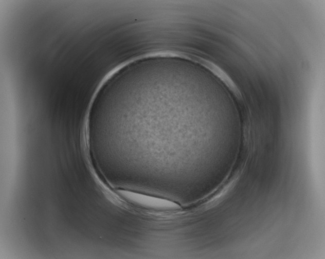 X0000115410988200911101608