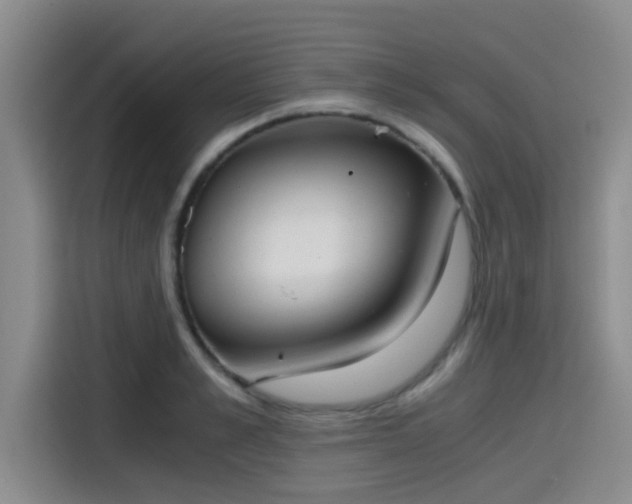 X0000115410989200911101608