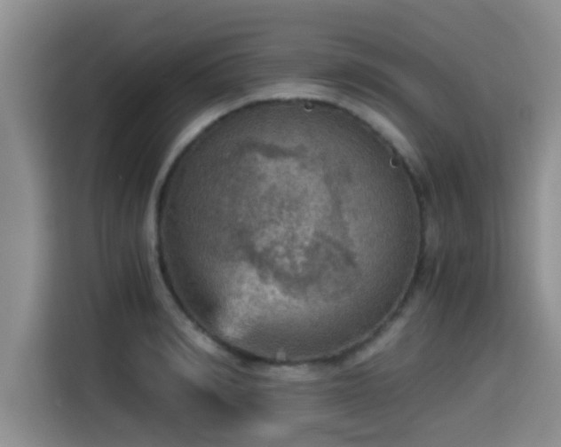 X0000115410990200911101608