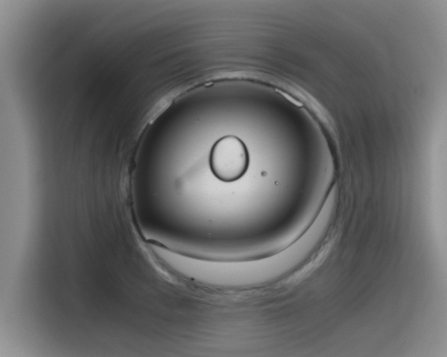 X0000115410993200911101608